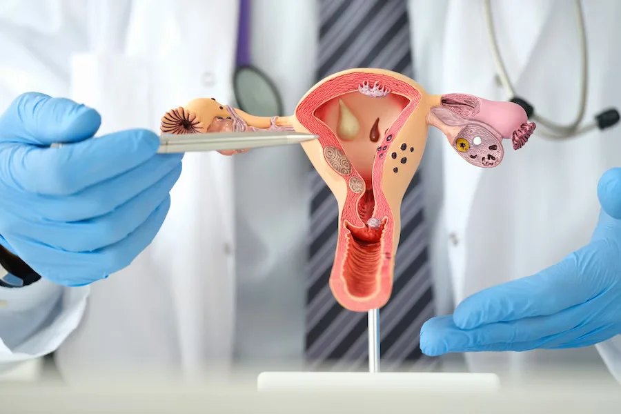 Urogynaecology